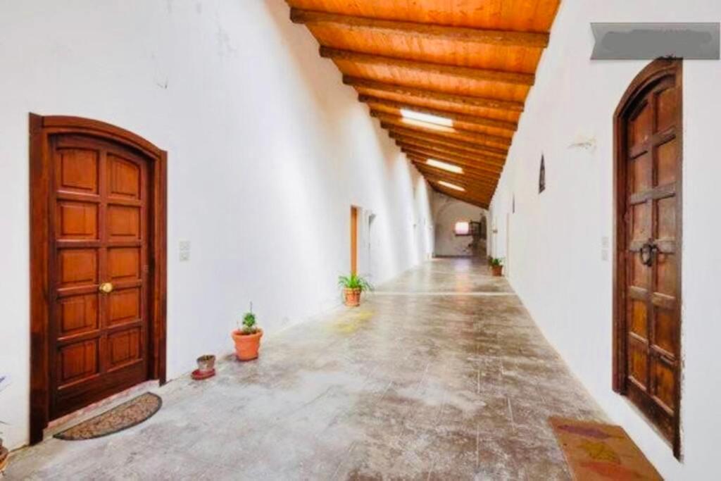 Wonderful Apartment In Old Alguer Exterior foto